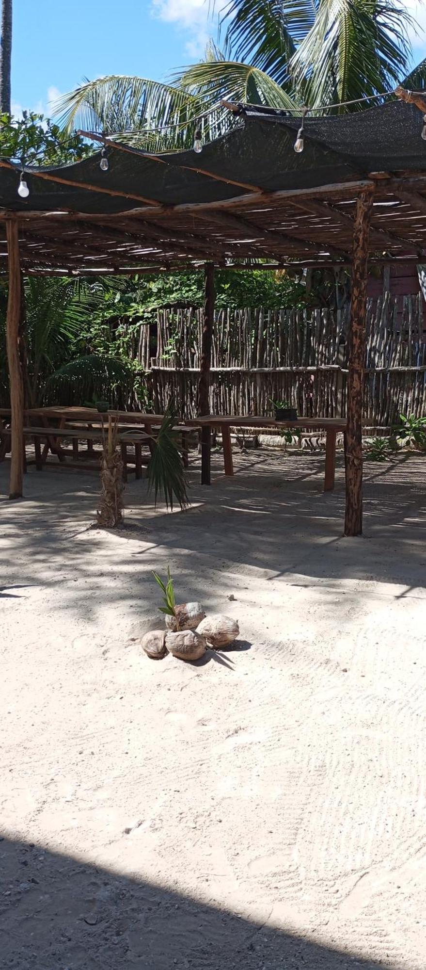 El Regalo El Cuyo Hotel Ngoại thất bức ảnh