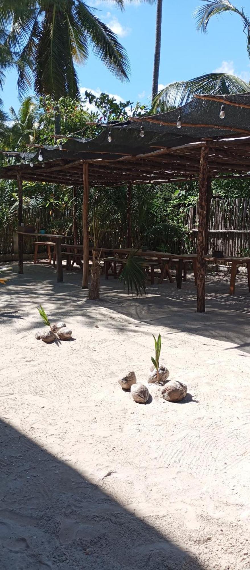 El Regalo El Cuyo Hotel Ngoại thất bức ảnh