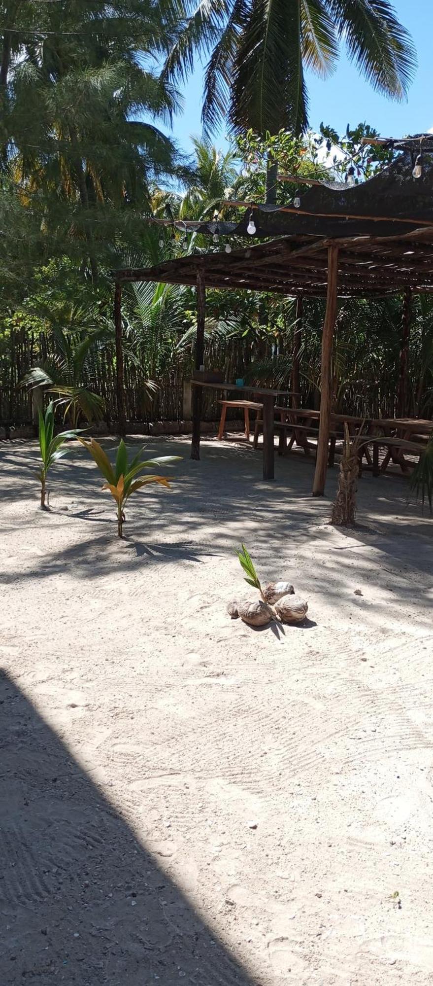 El Regalo El Cuyo Hotel Ngoại thất bức ảnh
