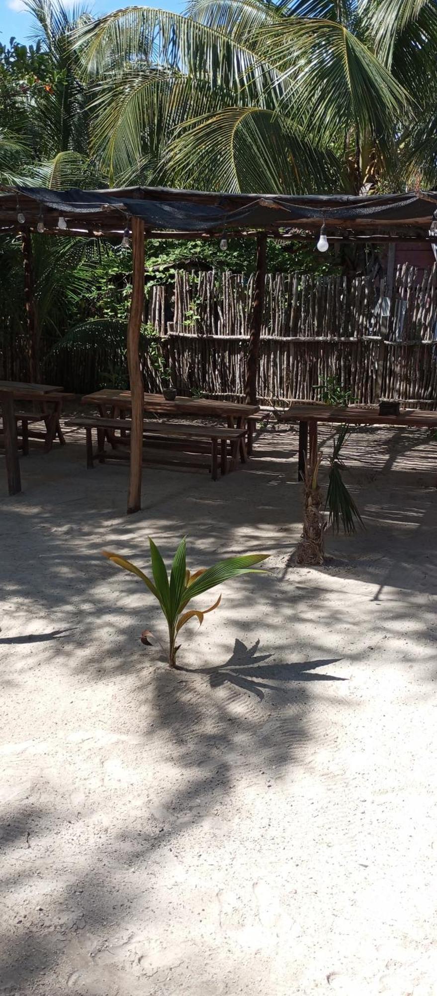 El Regalo El Cuyo Hotel Ngoại thất bức ảnh